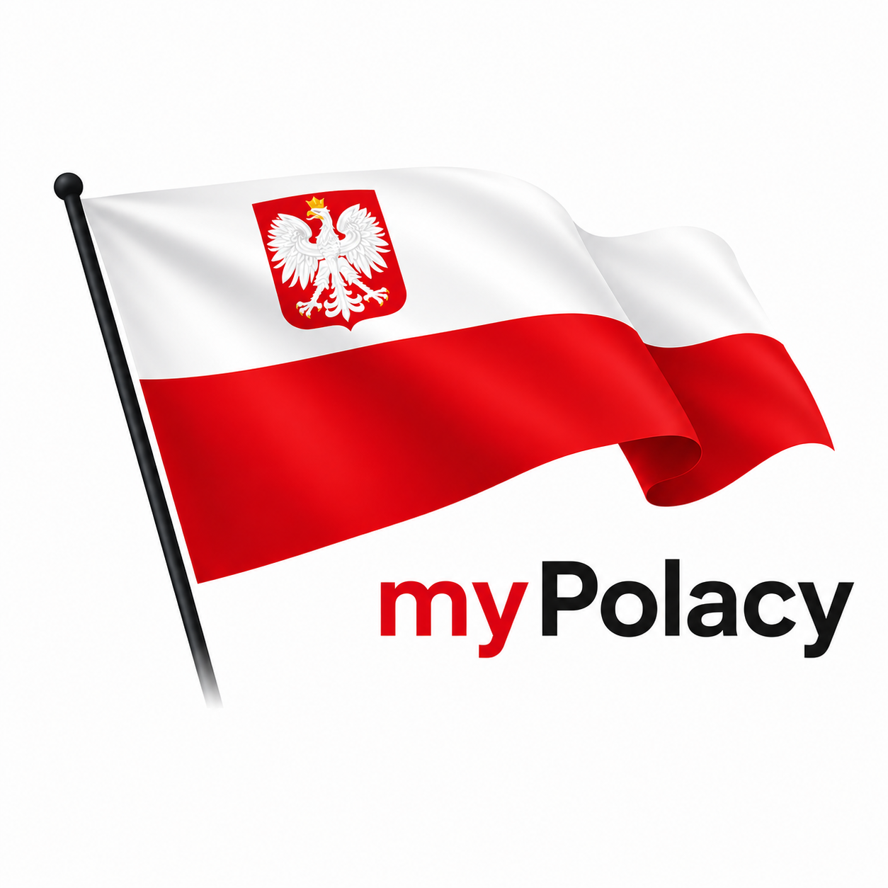My Polacy.